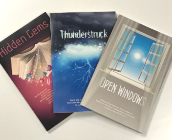 2019 Find Your Voice 3 Book Releases