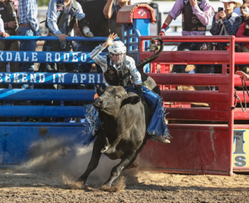 Teenage boy in a white helmet rides a black bull in a rodeo stadium.